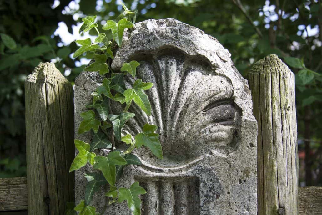 Wie lange dauert der Jakobsweg? - Eine nahaufnahme von einem baum - Kathedrale von Santiago de Compostela